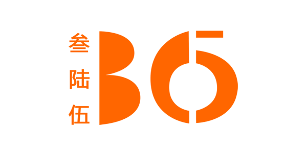 叁陆伍代理服务公司官网定制设计